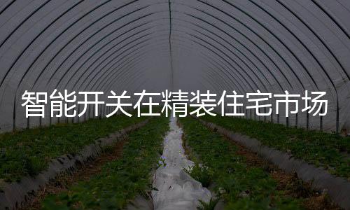 配套以及市场需求多元化发展