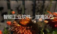 快排公司十年历程，霸屏兔 seo 的崛起与坚守