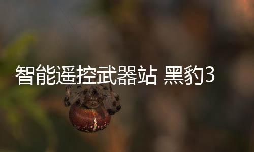 智能站黑也不会伤及士兵