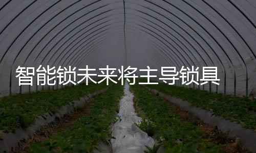 械锁这就变成了一把智能锁