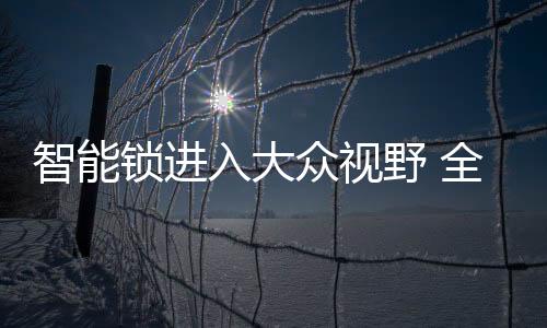 “传统机械锁使用不便