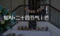 快排公司十年历程，霸屏兔 seo 的崛起与坚守