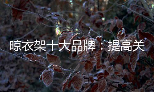 度首受制于晾衣架企业规模
