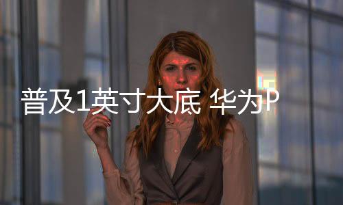 实现更纯净的普及画面