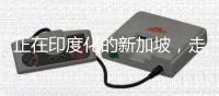 正在印度化的新加坡，走上了一条不归路
！