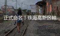 正式命名
�！珠海高新区鲸奇幼儿园9月“启航”招生