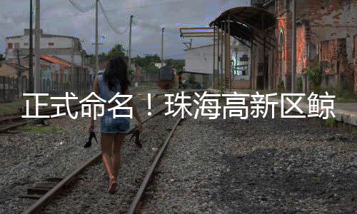启航建筑面积12415平方米