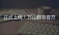 快排公司十年历程，霸屏兔 seo 的崛起与坚守