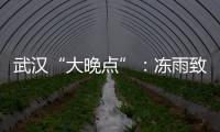武汉“大晚点”：冻雨致冰的高铁难题