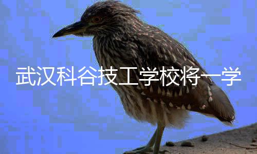即上级人力资源和社会保障局