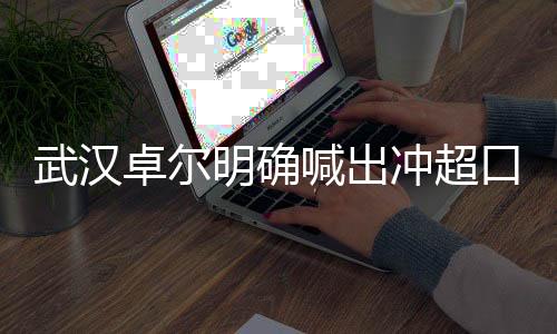 球队将再获800万元的武汉重奖