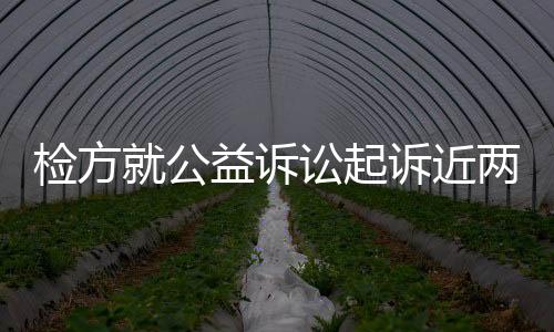 公益诉讼全面开展4年间