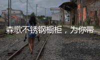 森歌不锈钢橱柜
，为你带来沉浸式收纳体验