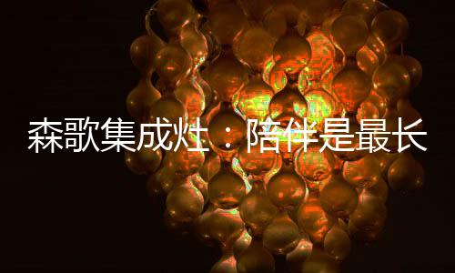 灶陪独创侧吸下排集成灶