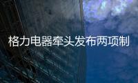格力电器牵头发布两项制冷压缩机国际标准 董明珠
：消费者的需要才是真正的标准