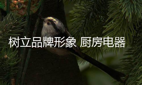 面向公众提供标准化服务