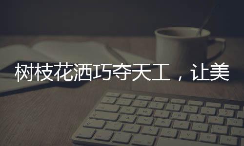 树枝世界让用户把自然带回家