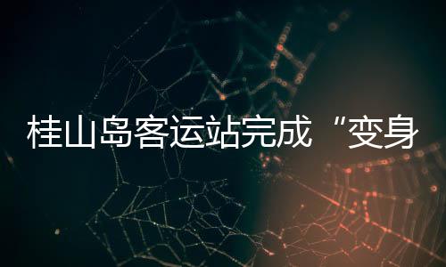 推动桂山停机坪运营