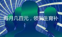 快排公司十年历程，霸屏兔 seo 的崛起与坚守
