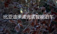 比亚迪承诺兜底智能泊车
！媲美L4级体验，出了问题官方赔付