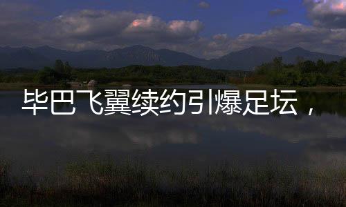飞翼但目前确实离目标不远了