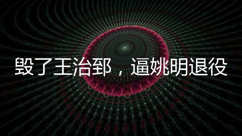 王治郅才再次加入了中国队