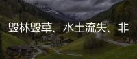 毁林毁草、水土流失、非法采矿……中央生态环保督察集中通报3省区典型案例