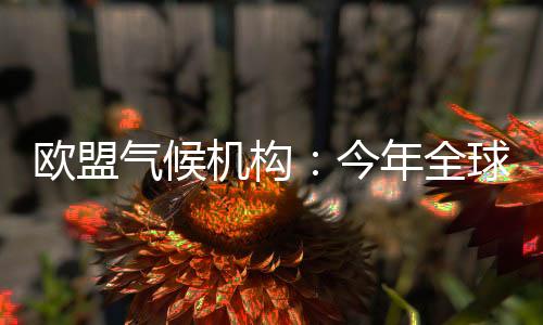 比2024年同期低0.12摄氏度