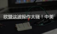 欧盟这波操作太骚	
！中美刚要联手绞杀	，它竟想左右逢源？