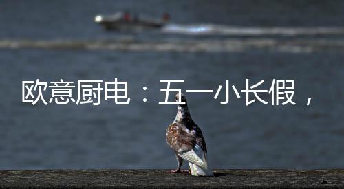 机身旋钮采用圆柱形设计