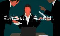 快排公司十年历程，霸屏兔 seo 的崛起与坚守