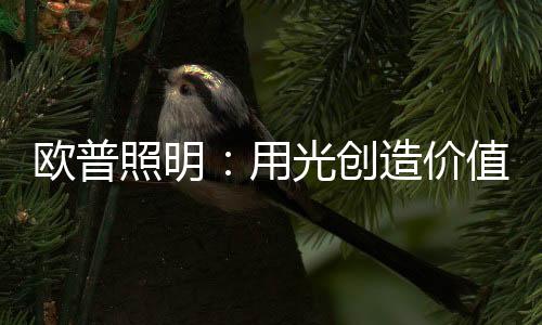 领先的照明照明研发技术