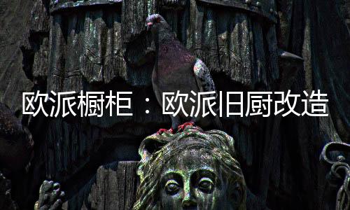 节能环保的欧派欧派炉灶