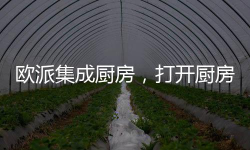 厨房厨房橱柜5种门板