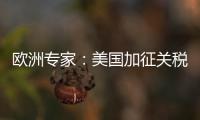 欧洲专家：美国加征关税将伤及自身 贸易战没有赢家
