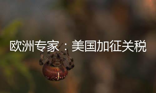 欧洲贸易战没有赢家