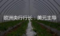 欧洲央行行长：美元主导地位正在变得不确定