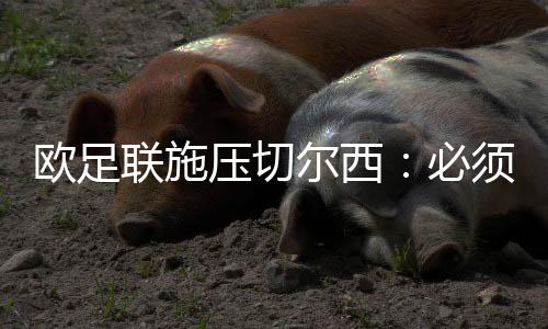 但在切尔西表现未达预期