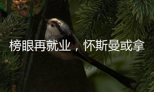 如果他能凭此机会证明自己