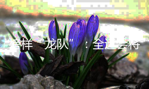 龙队这样才更有意义