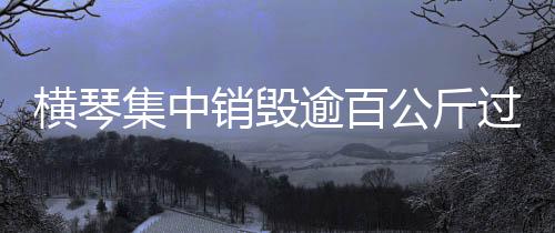 分类造册及相关审批流程