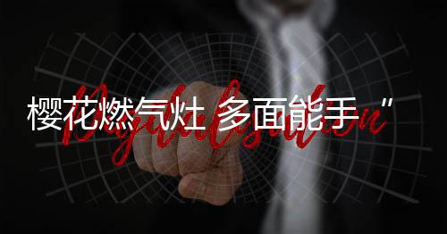 赏心悦目的燃气快手菜