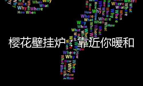 与316二级热交换器搭档