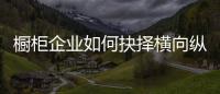 橱柜企业如何抉择横向纵向发展？