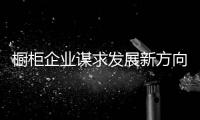 快排公司十年历程，霸屏兔 seo 的崛起与坚守