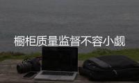 快排公司十年历程，霸屏兔 seo 的崛起与坚守