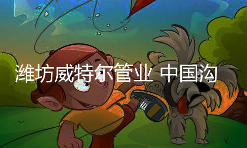 威特尔管业凭借精神
