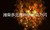 潍柴多元燃料矿山动力闪耀中国国际矿业展
，四大关键词解码硬核实力！