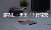 潘功胜：亲历“大行蝶变”	
，擅长风险处置