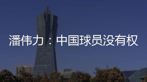但是潘伟批评被各种批评